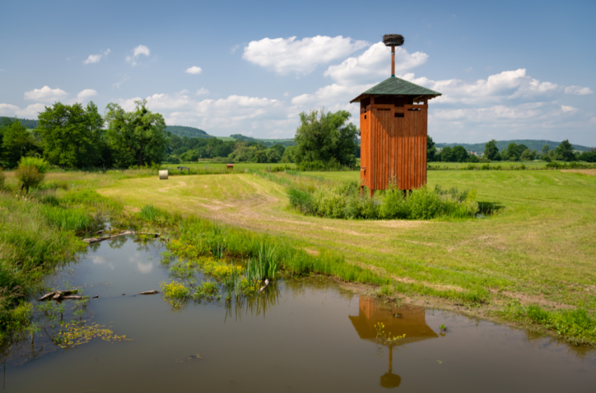  Fotogalerie nápadů: Jak zadržovat vodu v krajině