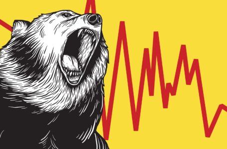 Co (ne)dělat během medvědího trhu?